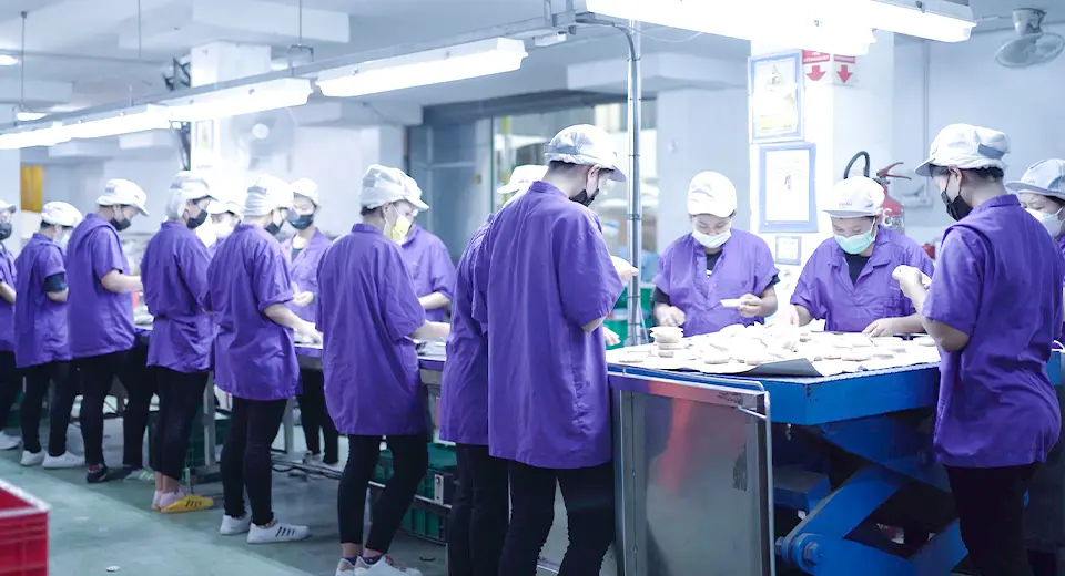 Future Factories Created by Human and Robots